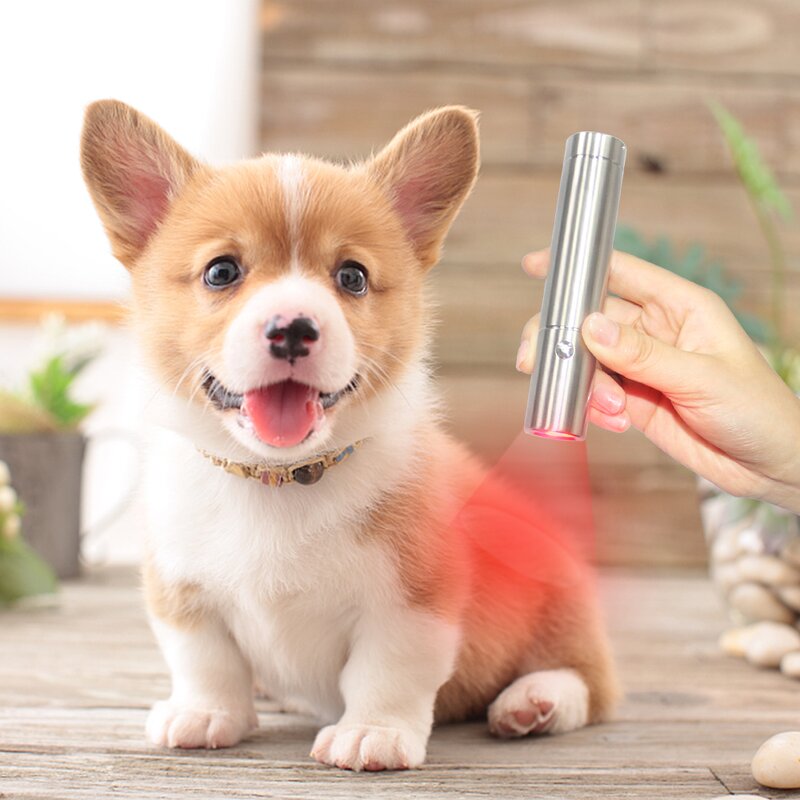 Ideatherapy Led Red Torch Manufacturer - Blue Light Infrared Built in Battery Skin Care Tool