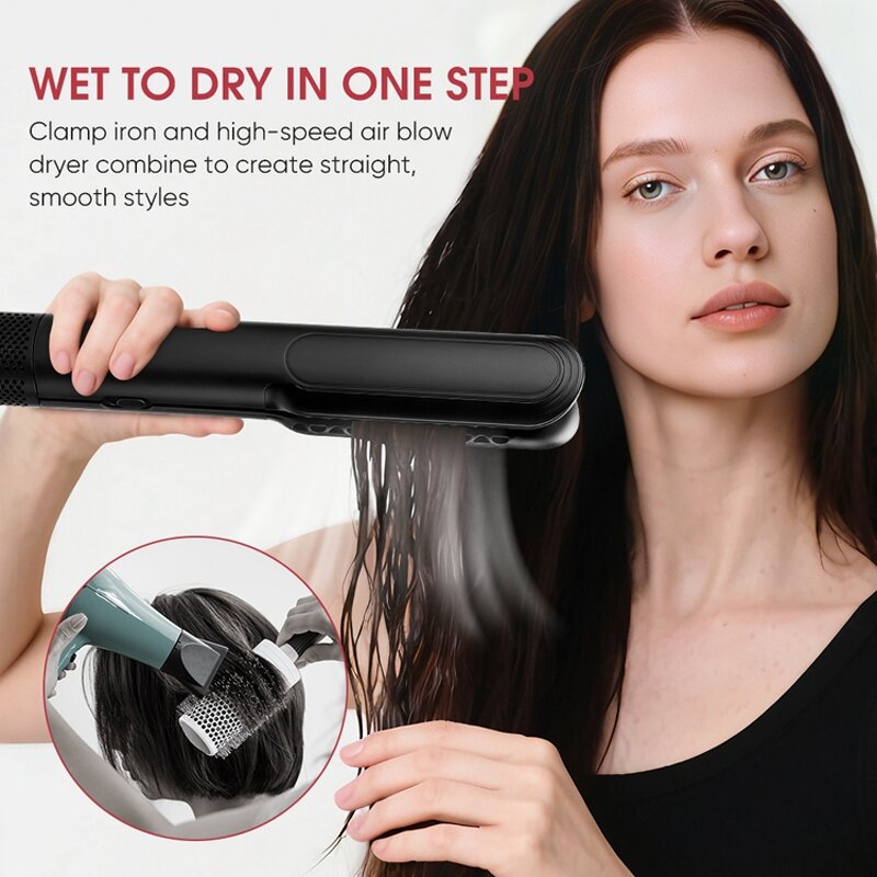 Hair Dryer Manufacturer - 2-in-1 High Speed Air Styler BLDC Motor Wet to Dry