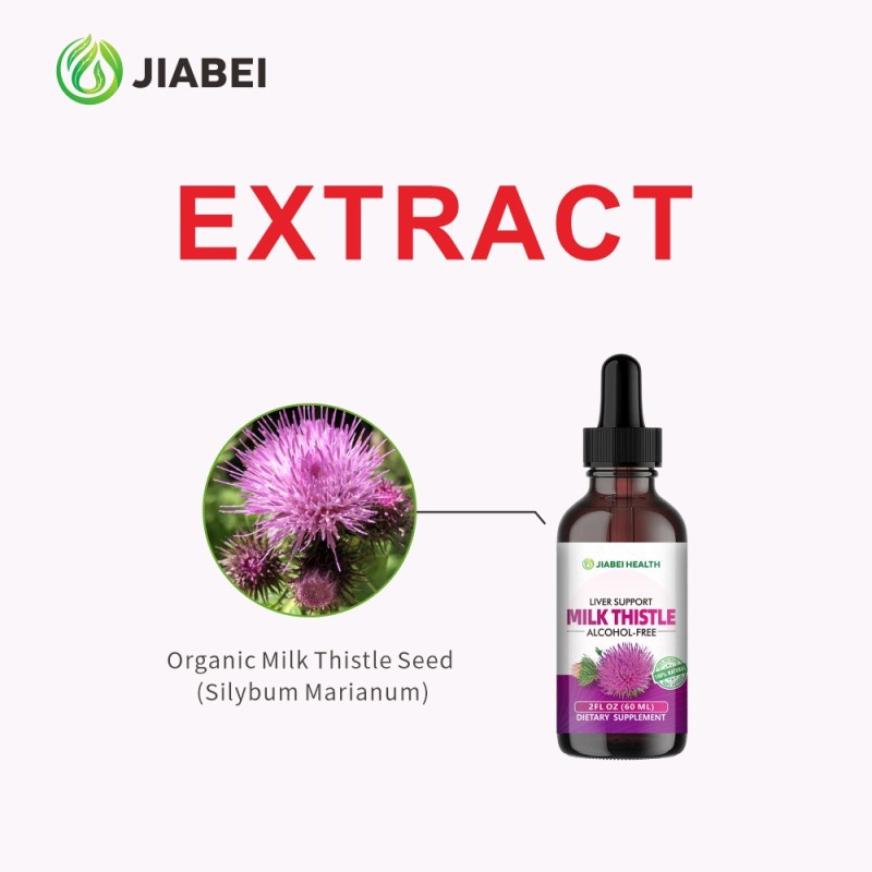 Milk Thistle Drops Factory - OEM Liver Health Botanical Extract