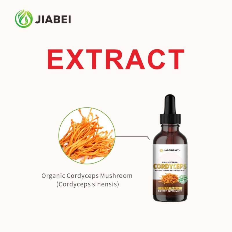Cordyceps Drops Manufacturer - ODM Immune Kidney Health Extract