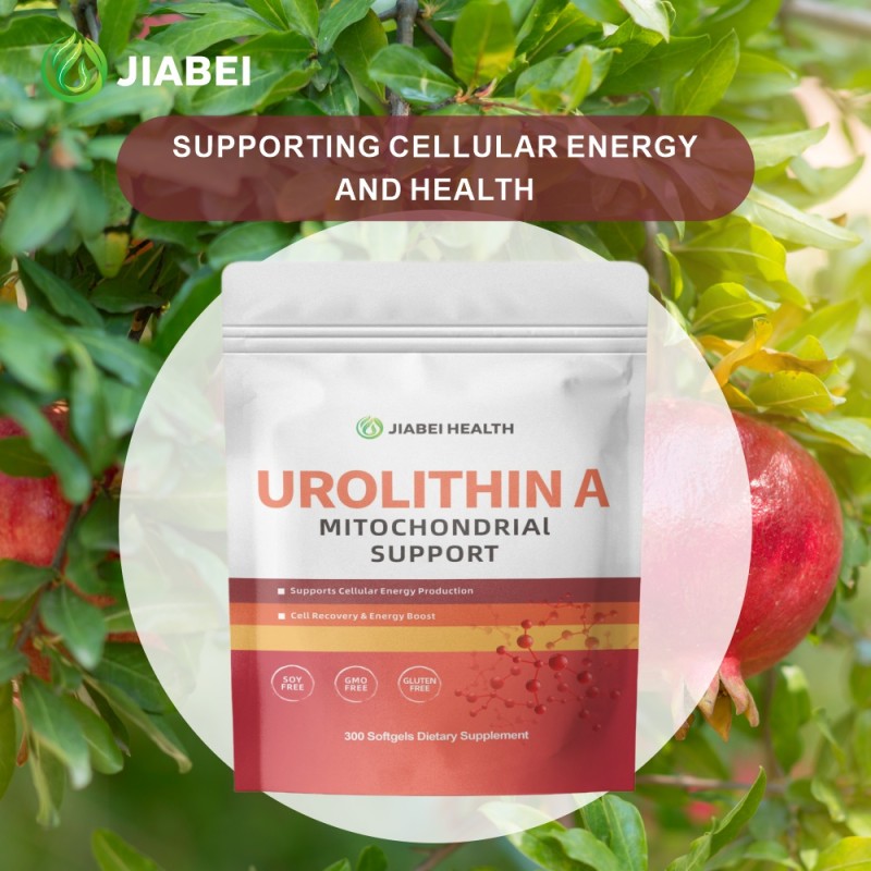 Urolthin Softgels Factory - ODM Cellular Energy Botanical Extract