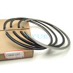 Piston Ring