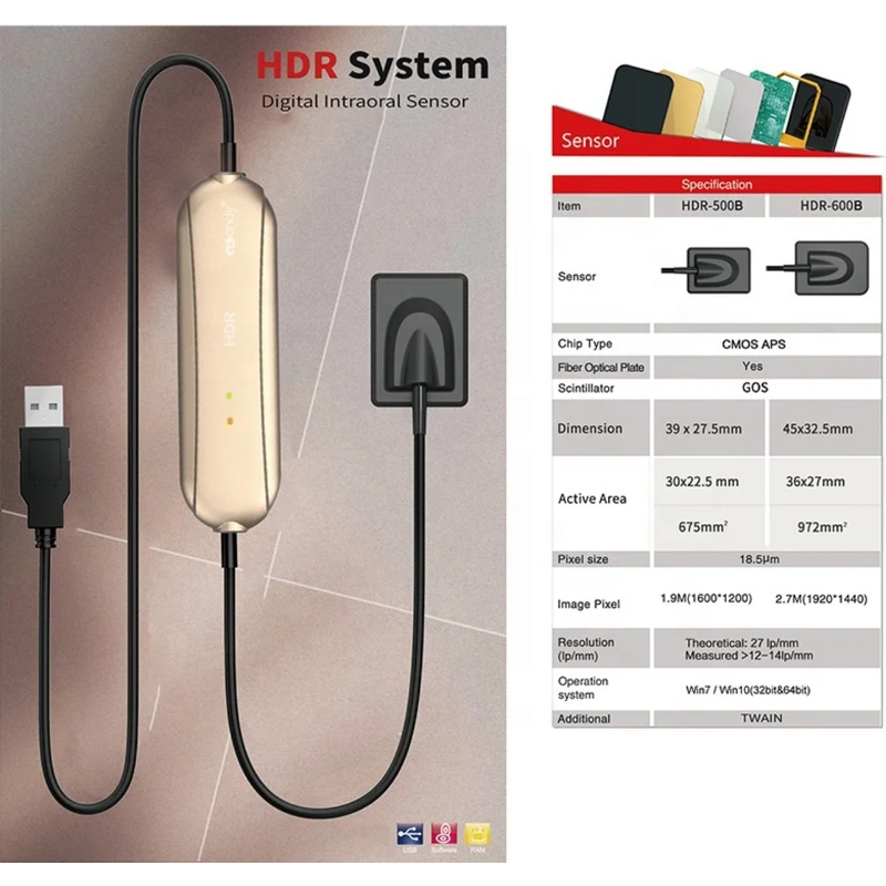 Dental RVG X Ray Sensor - Factory Price Intraoral HDR 500 Digital Radiography