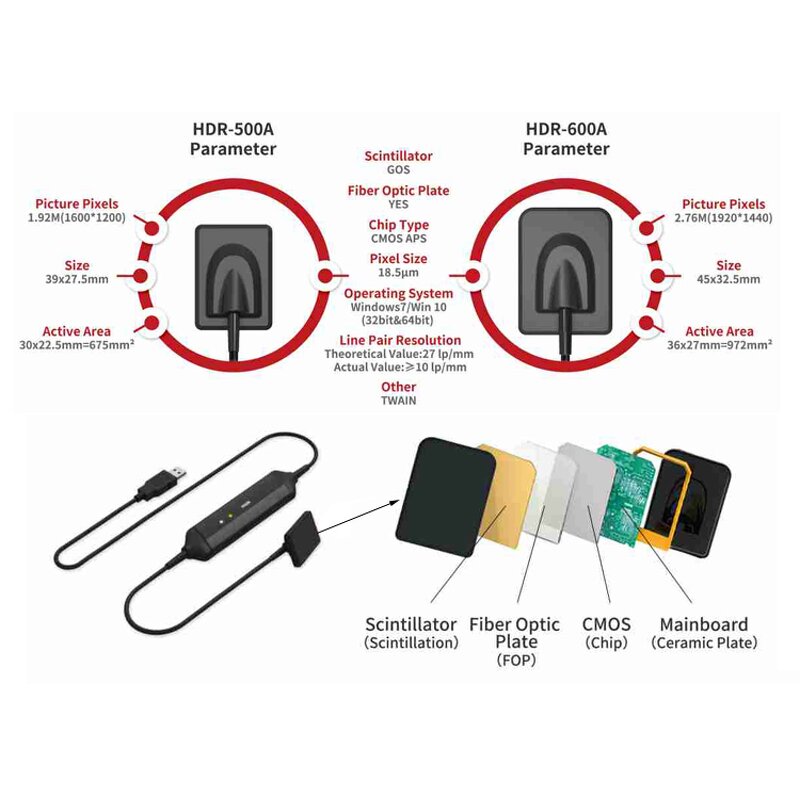 Dental RVG X Ray Sensor - High Quality Dentist Equipment Raio X Dental Device
