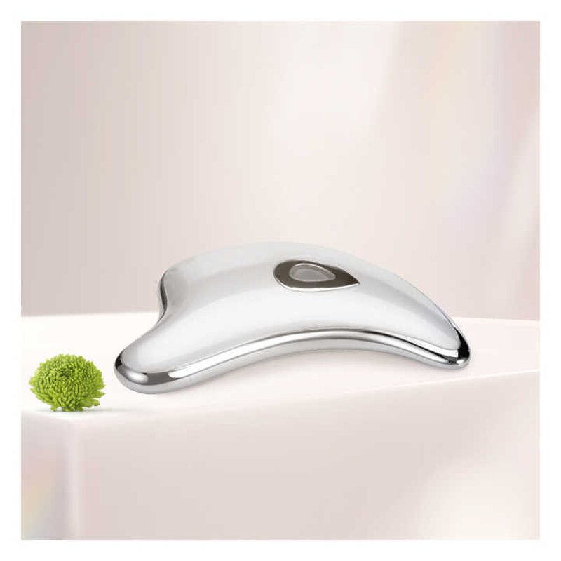 Electric Micro-Current Massager - ABS Vibration Heating Face Neck Scap Lifting Tool