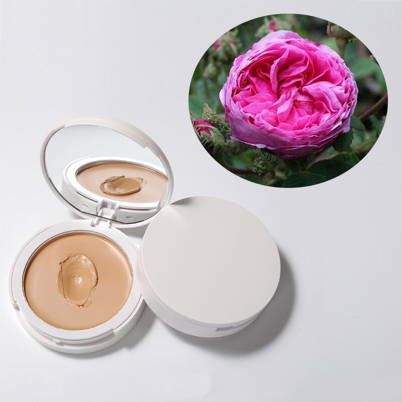 Liquid Foundation Manufacturer - Private Label Cream Concealer BB Cream OEM Vegan
