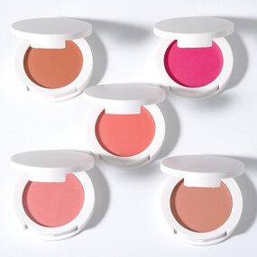Blush Manufacturer - 12 Colors High Pigment Private Label Single Palette Fine Powder