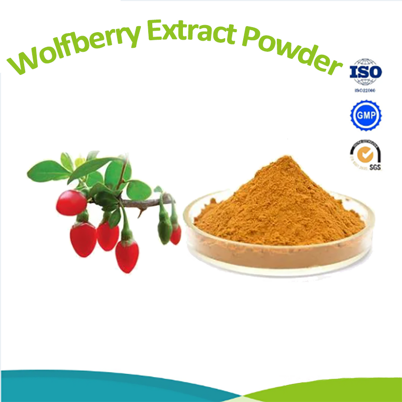 Green Tea Extract Powder - Organic Green Tea Polyphenols Food Supplement