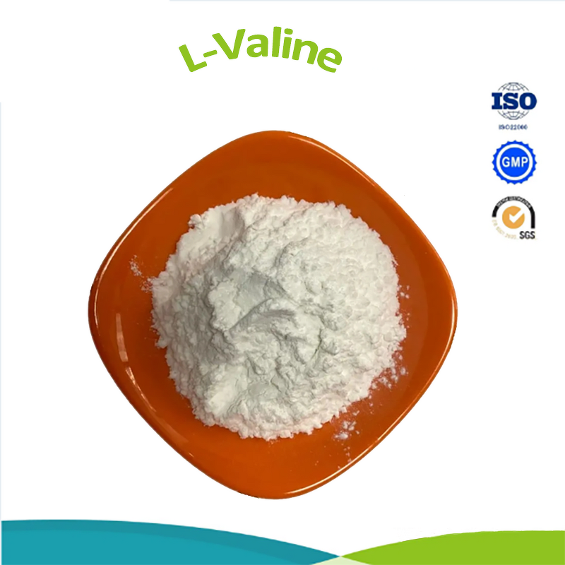 L-Threonine Powder - Food Grade Amino Acid CAS 72-19-5 China Supplier