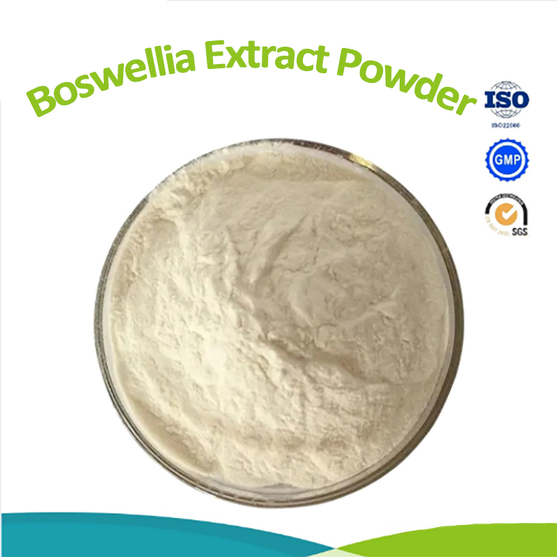 Cat's Claw Extract Powder - Health Food Grade Herb Extract Supplement