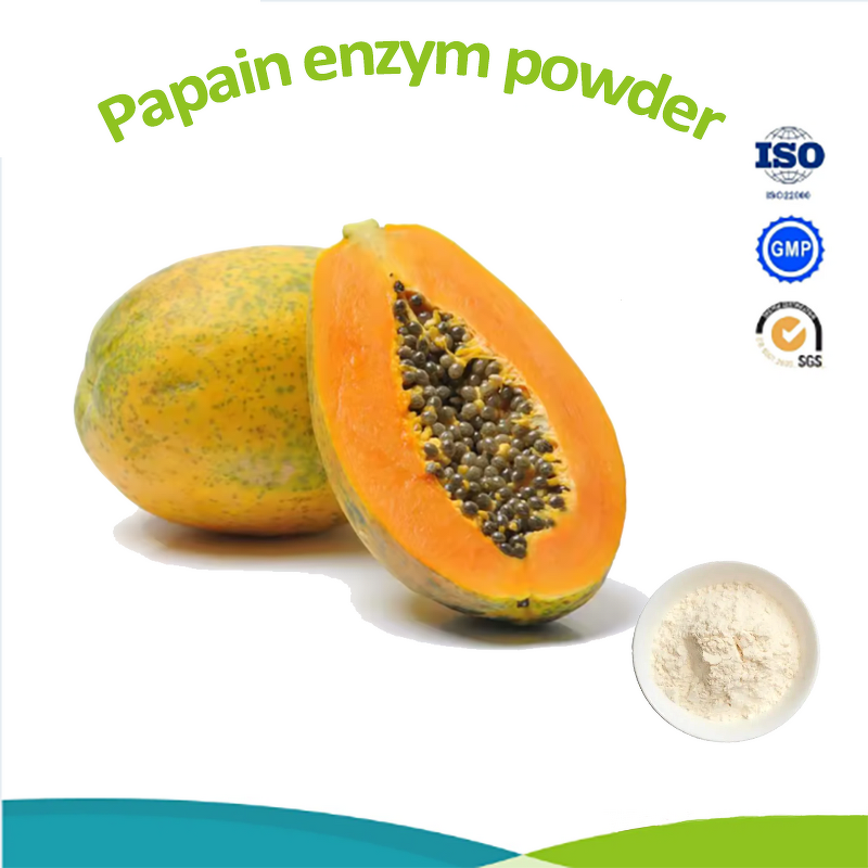 Calcium Hydrogen Phosphate - Factory Price Mineral Nutrition CAS 7757-93-9 Powder