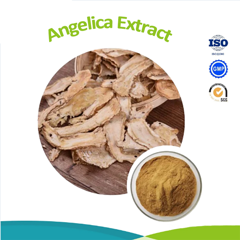 Bilberry Extract Powder - 25% Anthocyanidins Natural Plant Extract Supplement