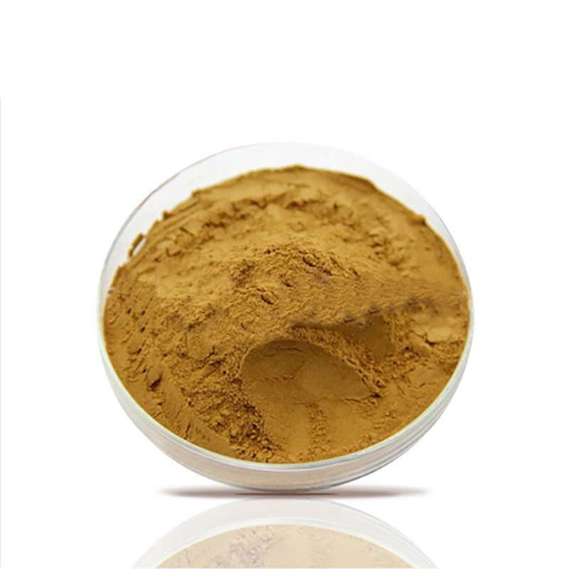 Angelica Sinensis Extract - Food Supplement Angelica Root Extract Powder