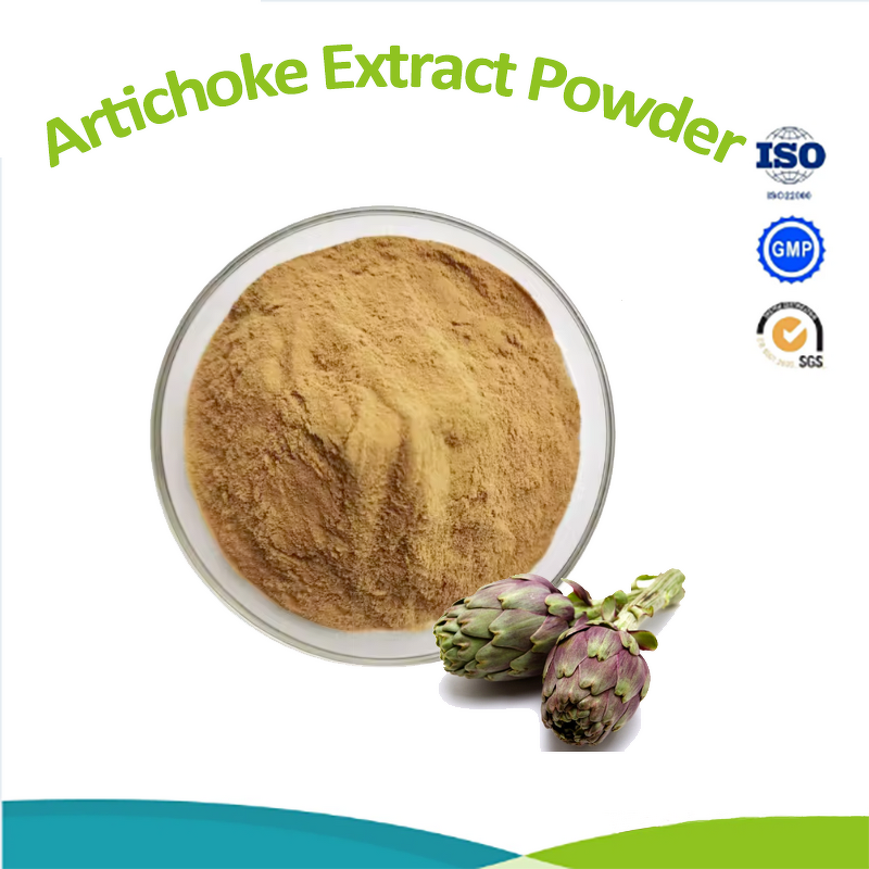 Green Coffee Bean Extract - Natural 10% Chlorogenic Acid Powder Supplement