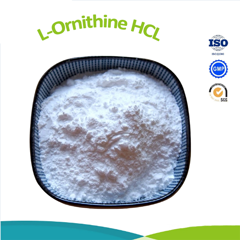 L-Tryptophan Powder - Food Grade Amino Acid CAS 73-22-3 China Supplier