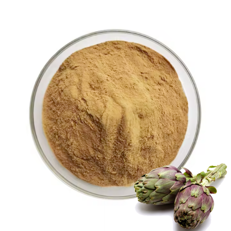 Green Coffee Bean Extract - Natural 10% Chlorogenic Acid Powder Supplement