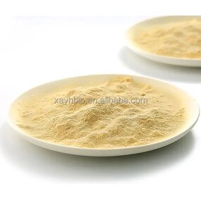 Selenium Enriched Yeast - High Quality Nutritional Yeast 2000ppm Powder