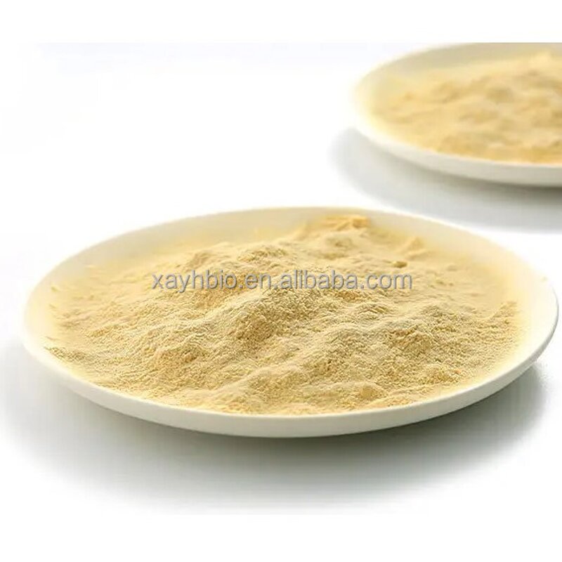 Selenium Enriched Yeast - High Quality Nutritional Yeast 2000ppm Powder