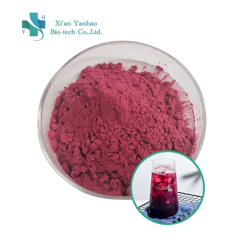 Blueberry Powder - Natural Organic Freeze Dried Blueberry Juice Powder