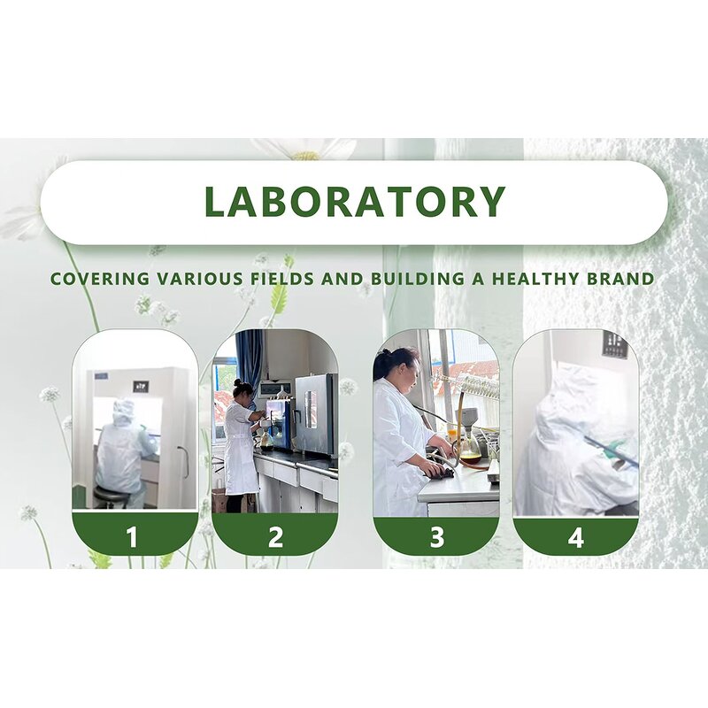 Alkalized Cocoa Powder - Factory Price High Quality Dutch Processed