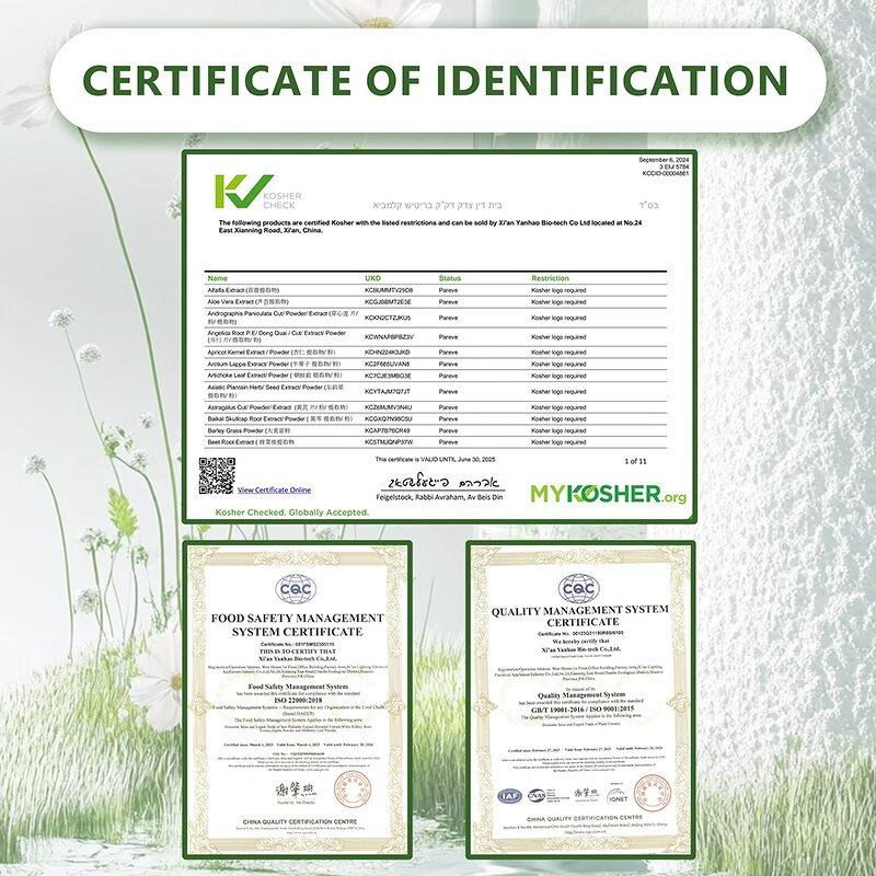 Alkalized Cocoa Powder - Factory Price High Quality Dutch Processed