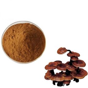 Reishi Mushroom Extract - Top Quality Natural Reishi Powder Supplement