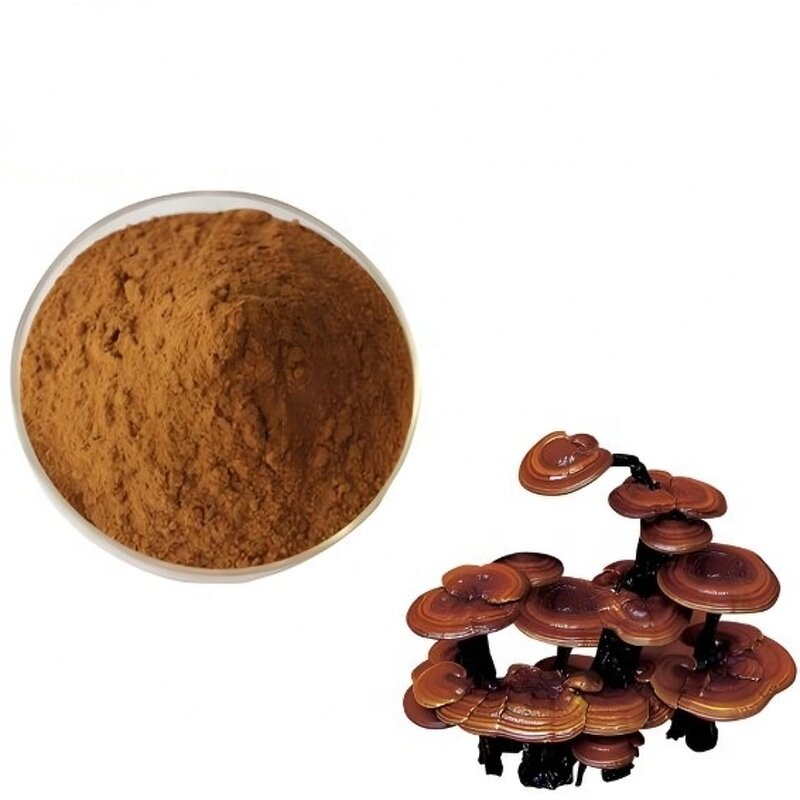Reishi Mushroom Extract - Top Quality Natural Reishi Powder Supplement