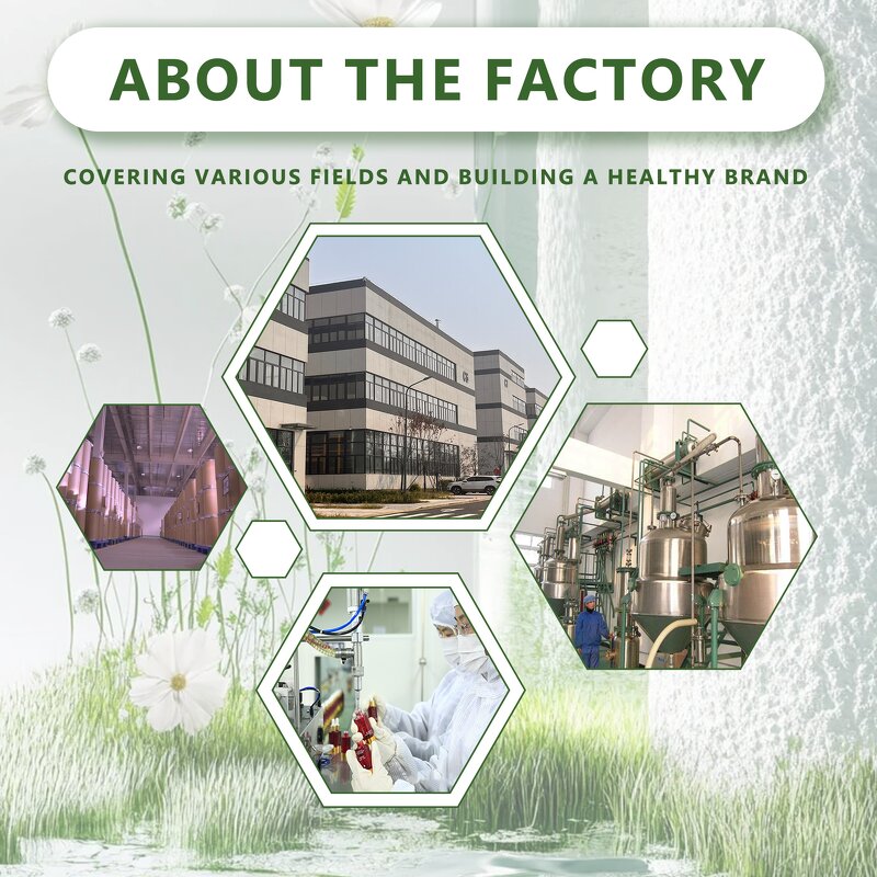 Beta-Arbutin Powder - High Quality Natural Bearberry Extract Cream Raw Material