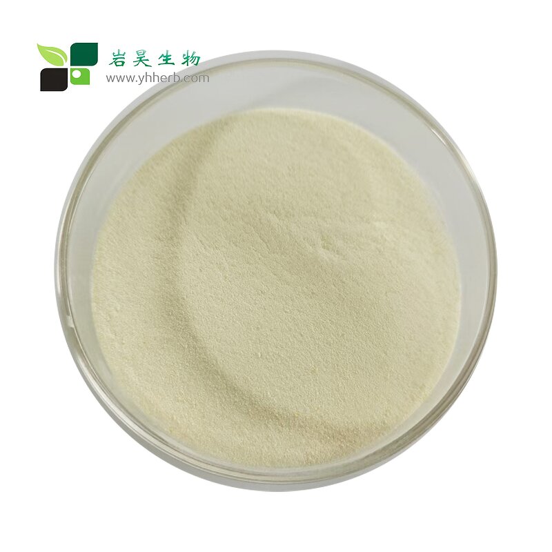 Orange Powder - High Quality Food Grade Freeze Dried Juice Extract No Additives