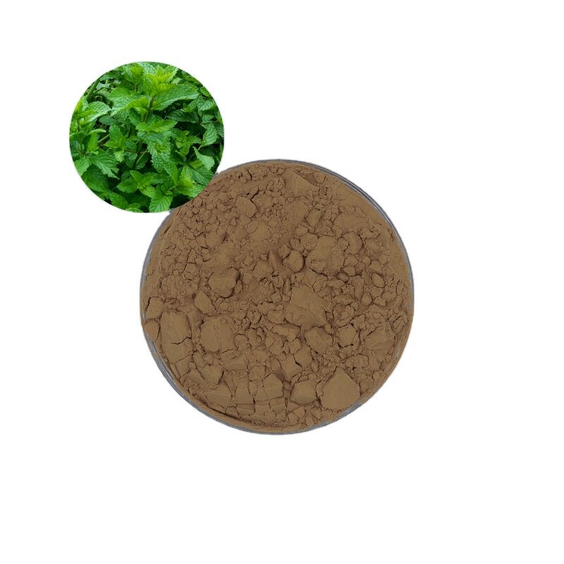 Peppermint Extract Powder - Hot Sale Natural Pure Mint Leaf Powder