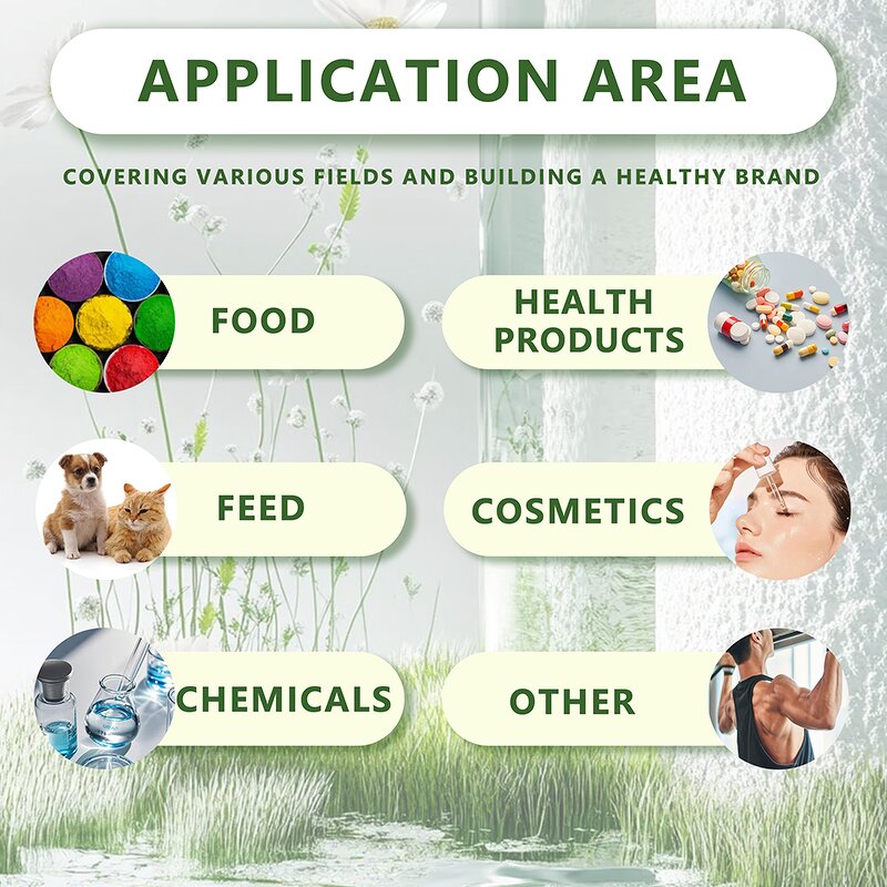 Blueberry Extract Powder - Factory Supply Natural 25% Anthocyanin Powder