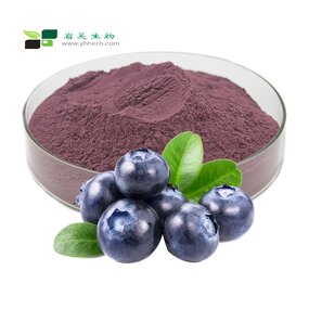 Blueberry Extract Powder - Factory Supply Natural 25% Anthocyanin Powder
