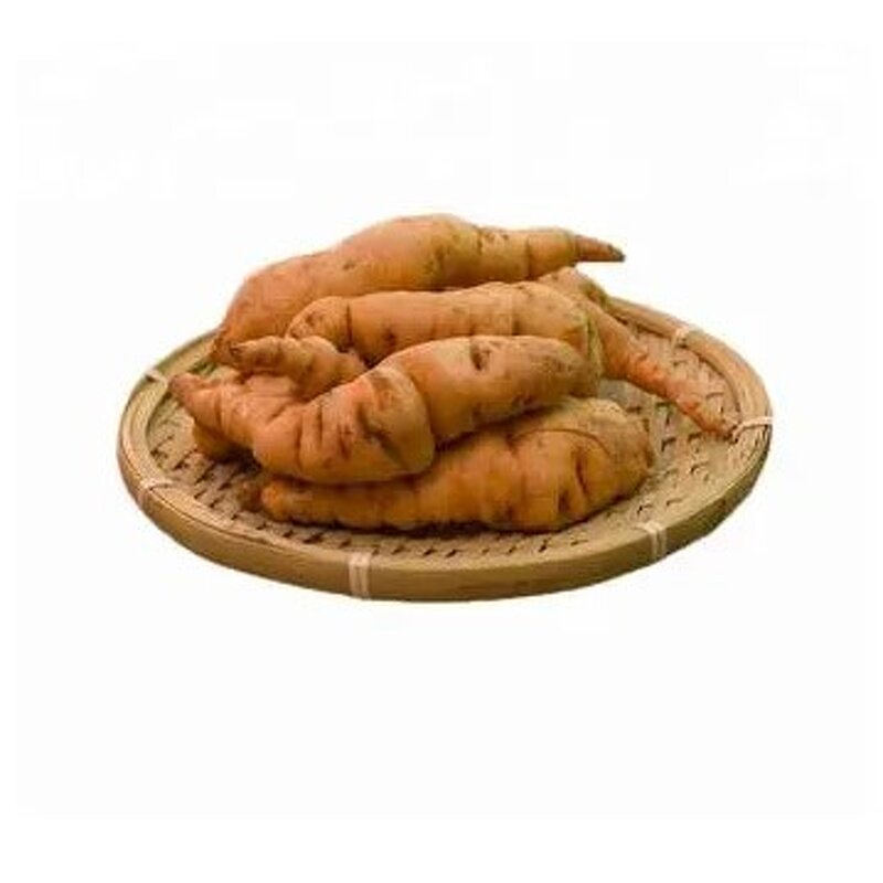 Rehmannia Root Extract - High Quality Rehmannia Glutinosa Powder