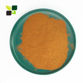 Alkalized Cocoa Powder - Bulk Price 25kg High Quality Non Natural Pure