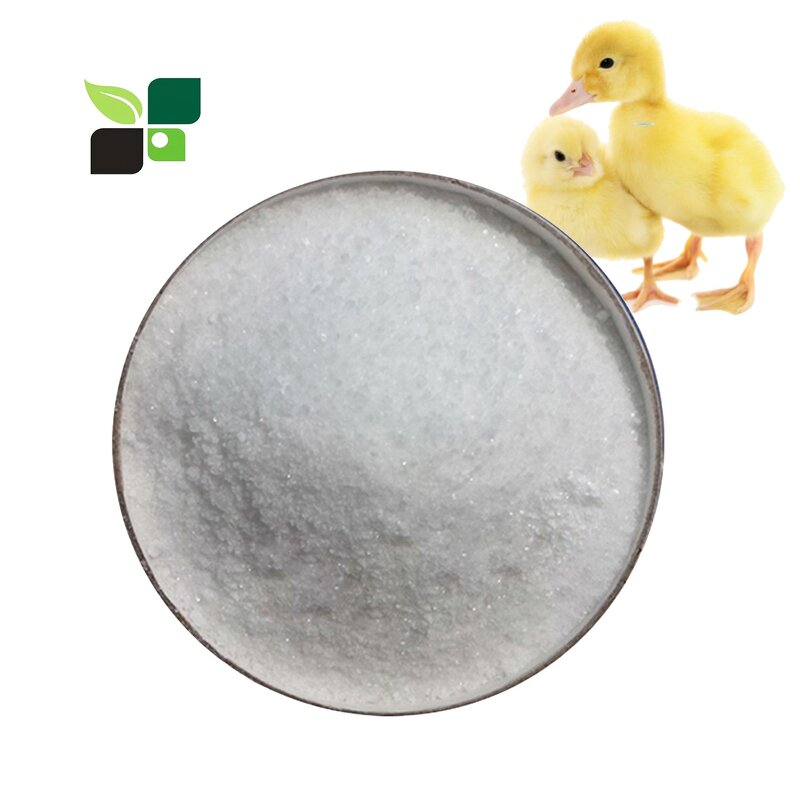 L-Methionine Powder - High Quality 99% Poultry Feed Grade DL-Methionine