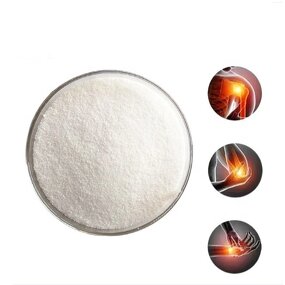 Chondroitin Sulfate Powder - USP Grade Joint Supplement Raw Material