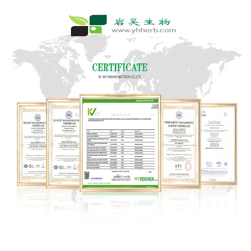 Stevia Extract Powder - Organic Rebaudioside M 95% RA RM RD Sweetener