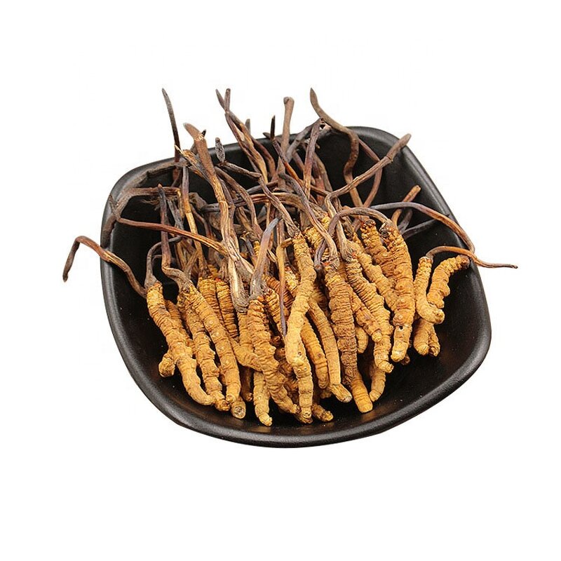 Cordyceps Sinensis Extract - Factory Supply 10%-50% Polysaccharide Powder Kosher