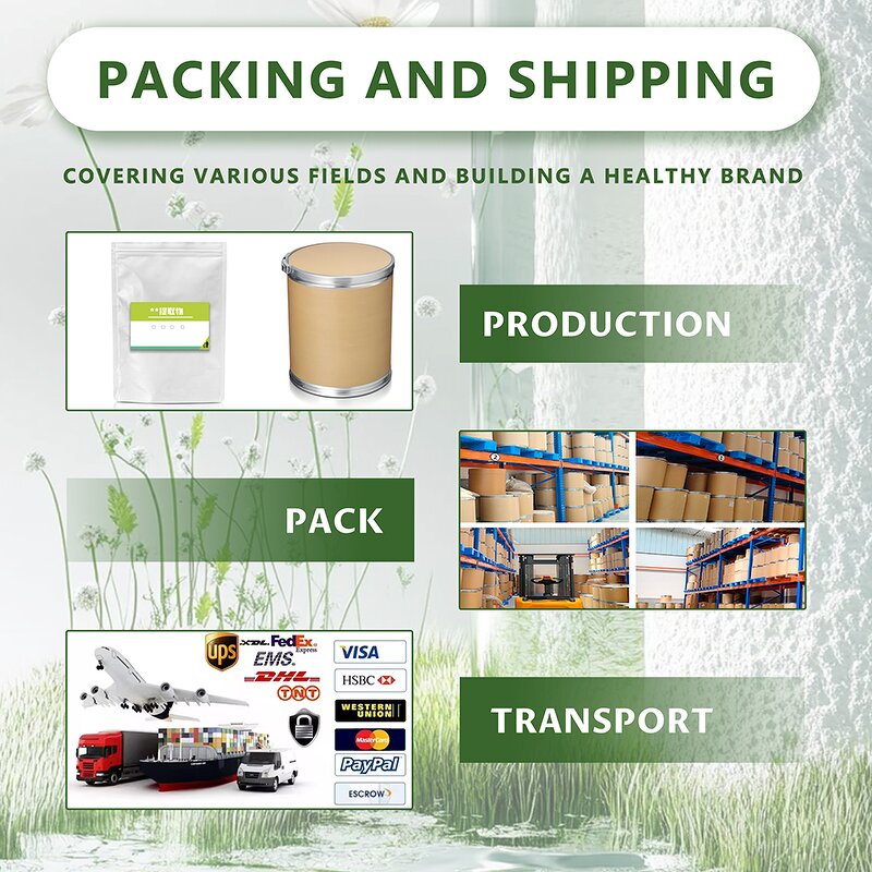 Amla Fruit Powder - 100% Pure Food Grade Solvent Extracted Juice Powder