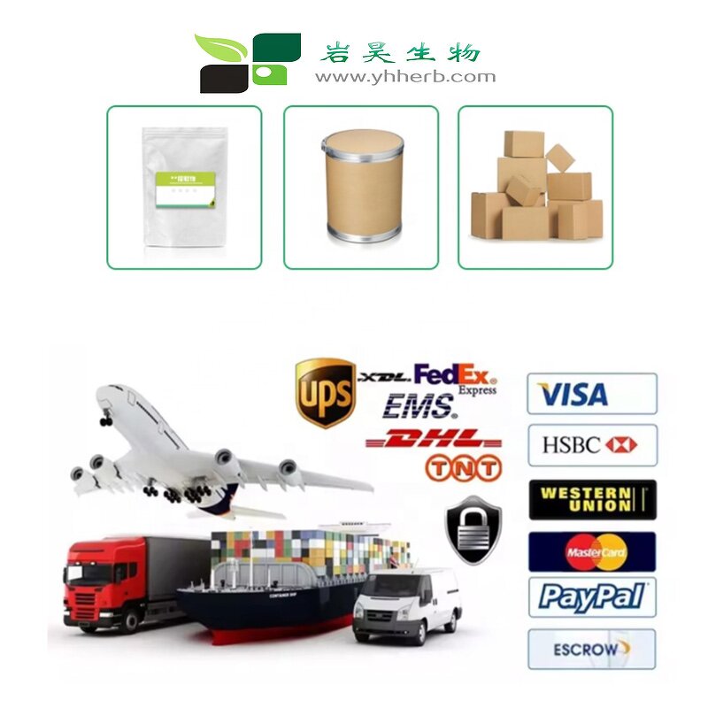 Ganoderma Lucidum Extract - ISO Kosher 10%-50% Polysaccharides Chaga Mushroom