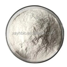 Chitosan Powder - Food Grade DAC 95% Bulk Pure Raw Material