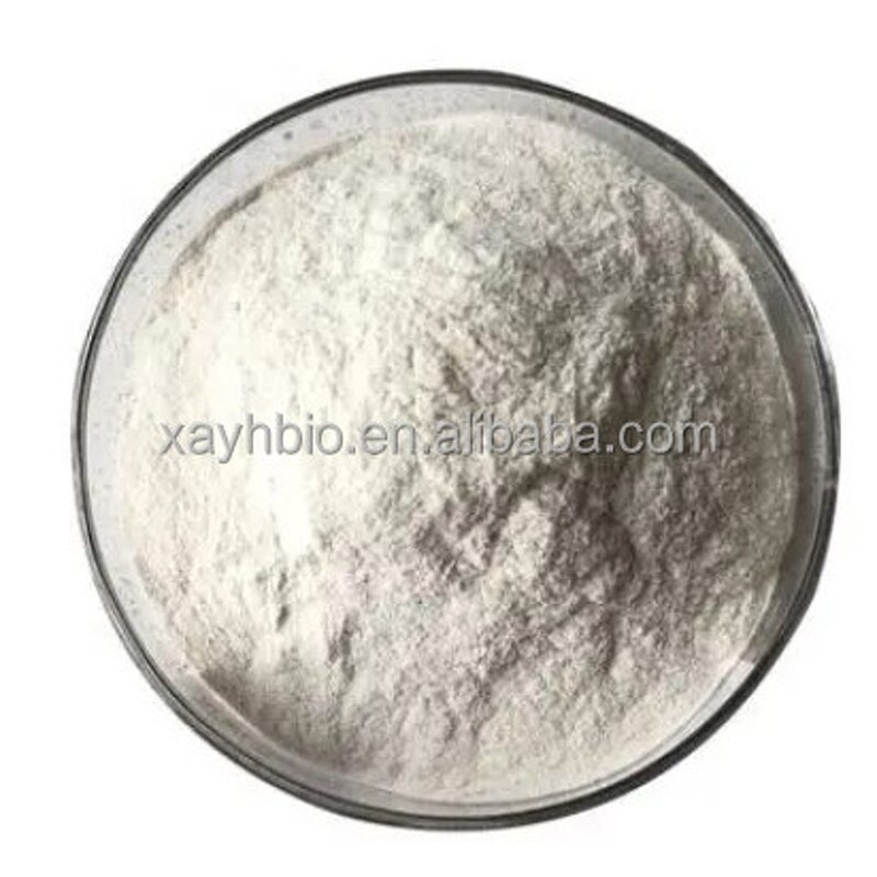 Chitosan Powder - Food Grade DAC 95% Bulk Pure Raw Material