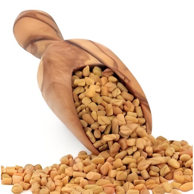 Fenugreek Seed Extract - Bulk Price Natural Fenugreek Powder Supplement