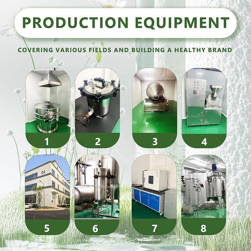 Amla Fruit Powder - 100% Pure Food Grade Solvent Extracted Juice Powder