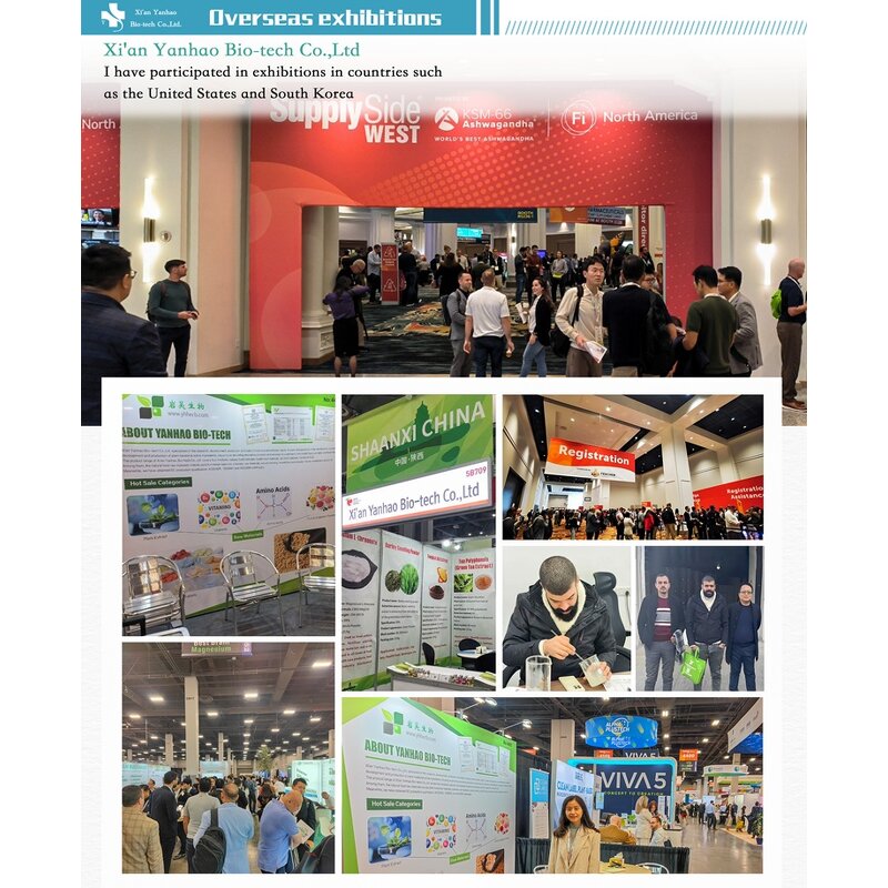 Moringa Seed Extract - Kosher Halal Organic Leaf Powder OEM ODM Capsules