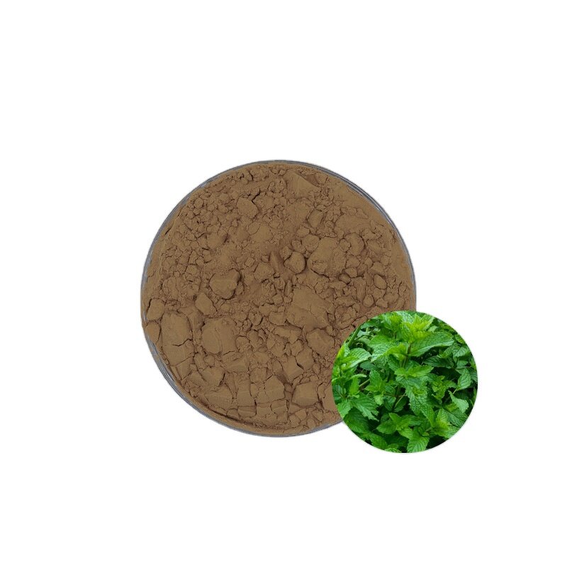 Peppermint Extract Powder - Hot Sale Natural Pure Mint Leaf Powder