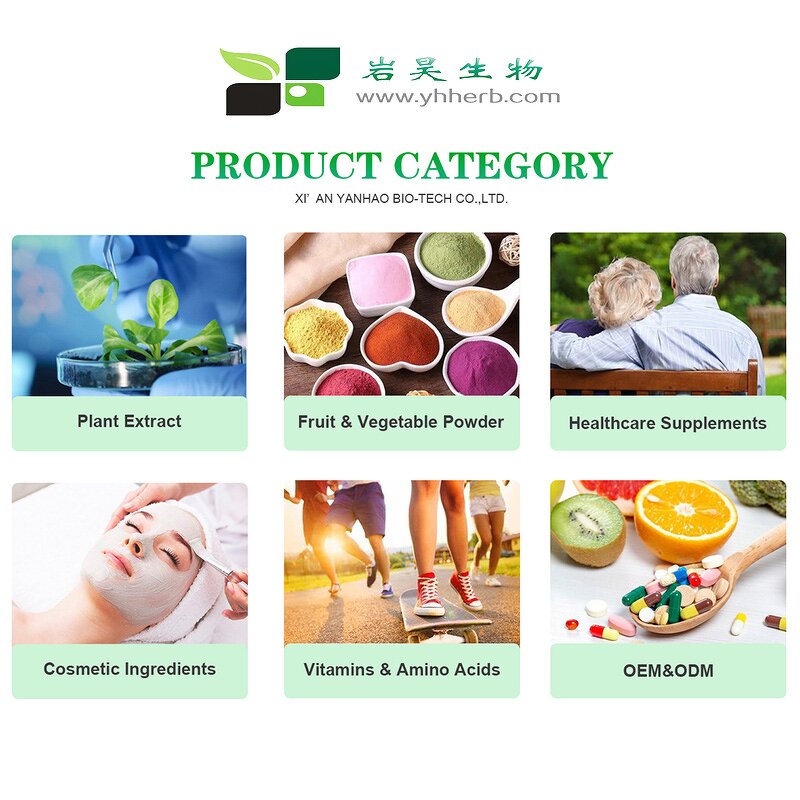 Lions Mane Mushroom Extract - Halal Certified Organic Herbal Food Supplement