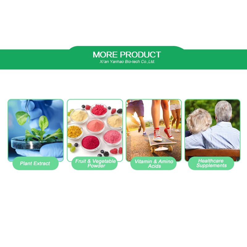 Celery Powder - Pure Natural Organic Celery Juice Extract Powder