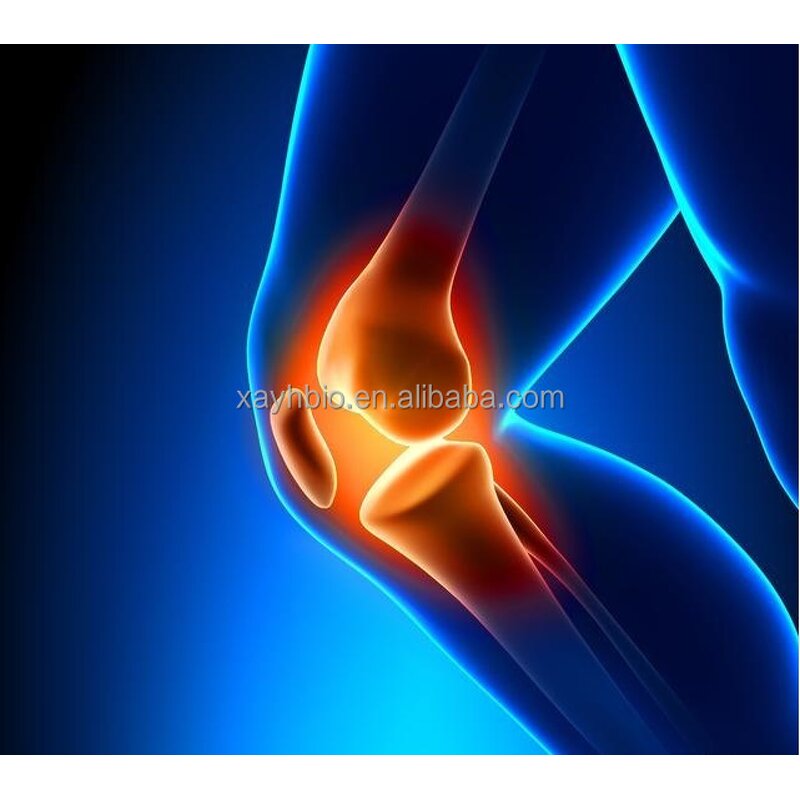 Glucosamine Sulfate Powder - Healthife Potassium Chloride D-Glucosamine