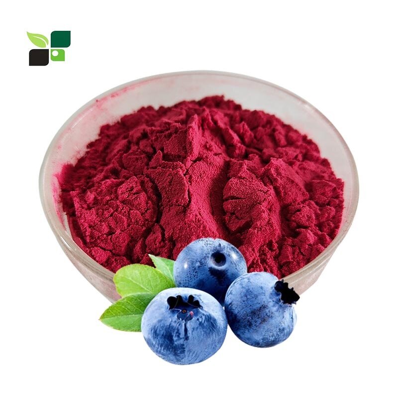 Blueberry Powder - Natural Organic Freeze Dried Blueberry Juice Powder